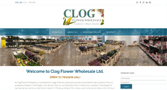 Desktop Screenshot of clogflowerwholesale.com
